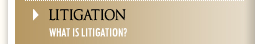 Litigation
